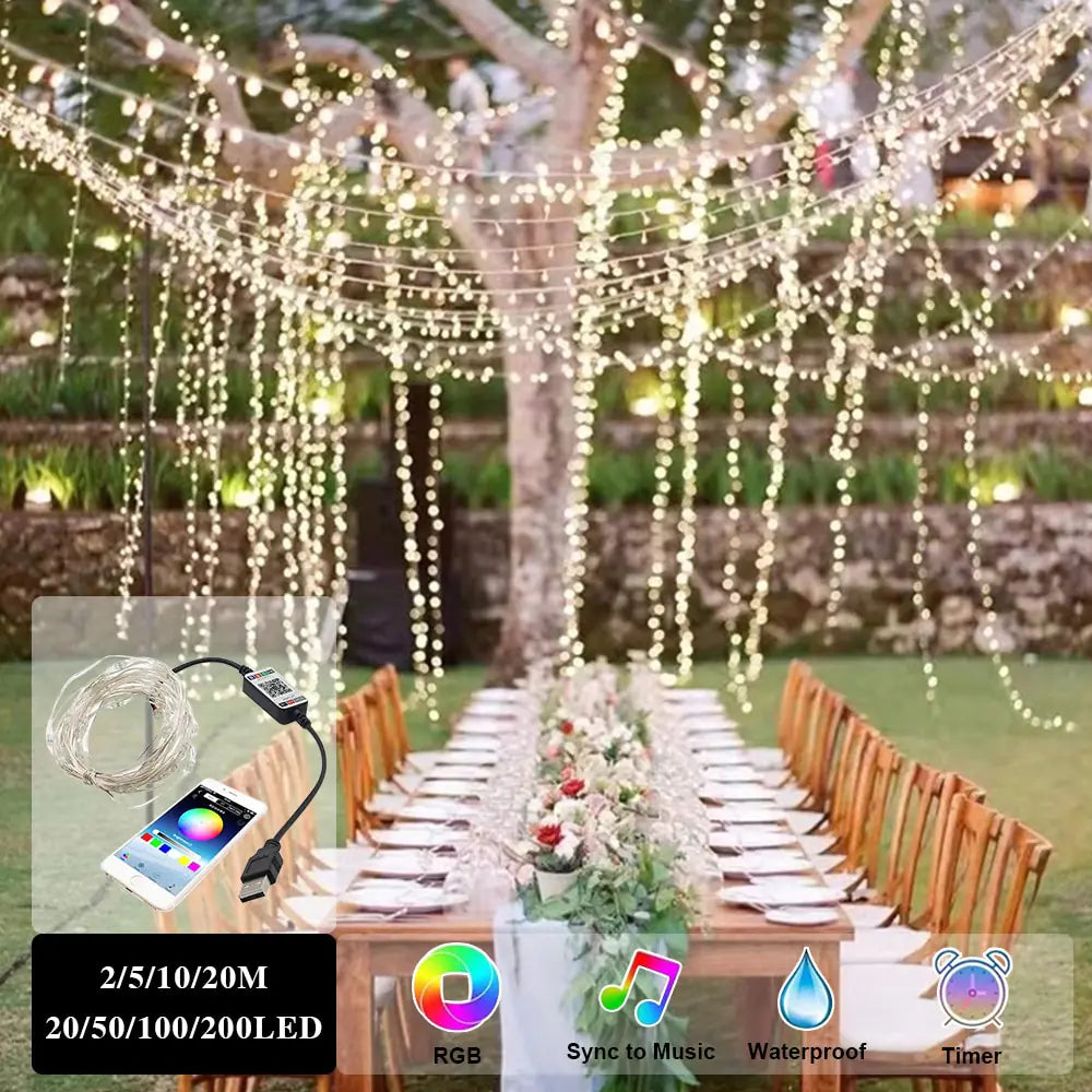 LichtShow Pro+