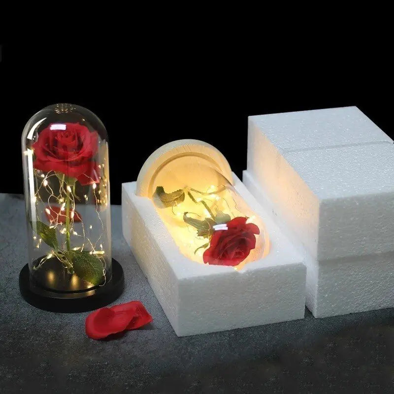 Bella Rosa - Eeuwige Roos