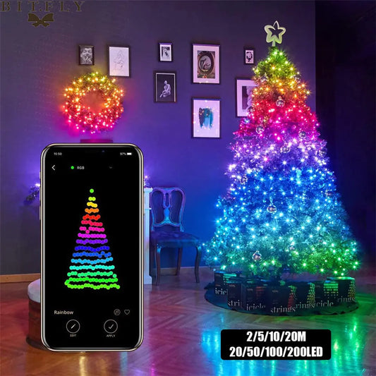 LichtShow Pro+