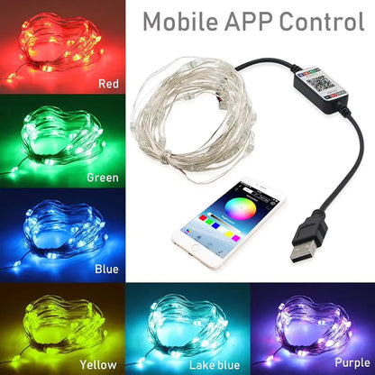 LichtShow Pro+