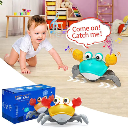 Magic Walking Crab - Wandelende Krab