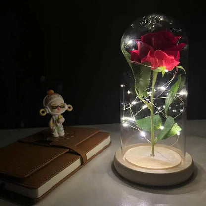 Bella Rosa - Eeuwige Roos