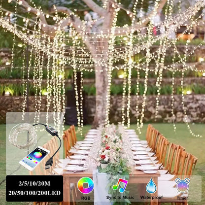 LichtShow Pro+