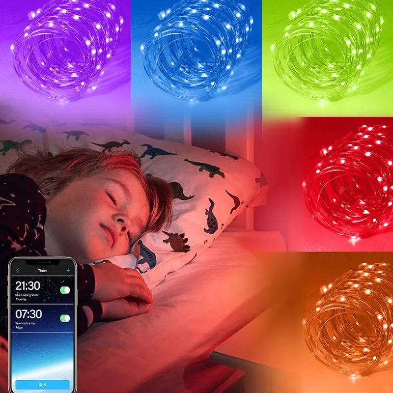 LichtShow Pro+