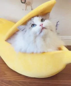 Gezellige Bananenbed Voor Katten- De Droom Van Elke Kat