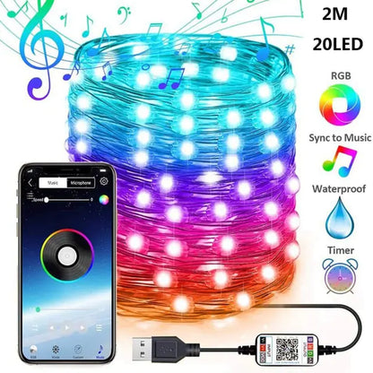 LichtShow Pro+